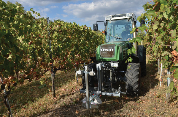 La trasformazione digitale nel settore agrifood: casi studi concreti in viticoltura